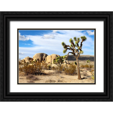 Southwest 1 Black Ornate Wood Framed Art Print with Double Matting by Lee, Rachel