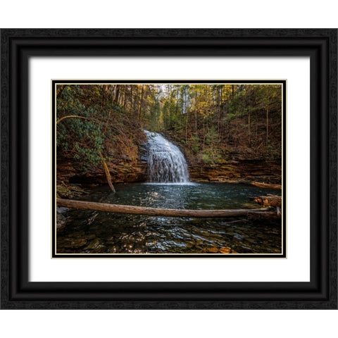 Stinging Fork Falls 1 Black Ornate Wood Framed Art Print with Double Matting by Lee, Rachel