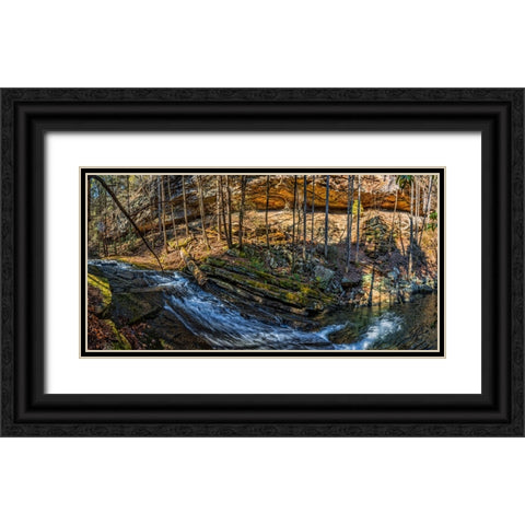 Stinging Fork Slide 1 Black Ornate Wood Framed Art Print with Double Matting by Lee, Rachel