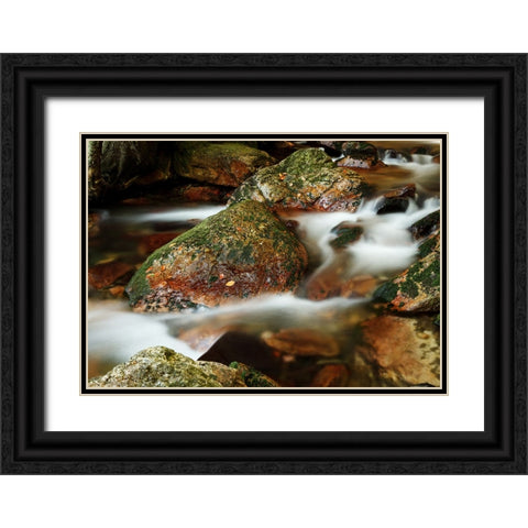 Stream 5 Black Ornate Wood Framed Art Print with Double Matting by Lee, Rachel