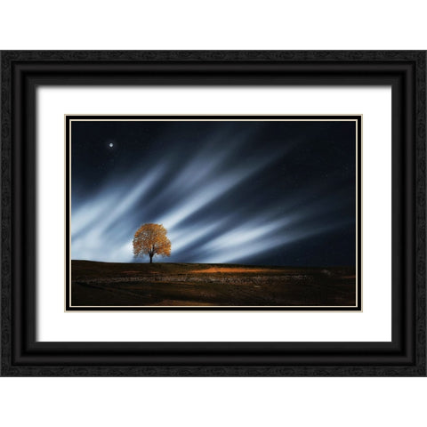 Trees 30 Black Ornate Wood Framed Art Print with Double Matting by Lee, Rachel