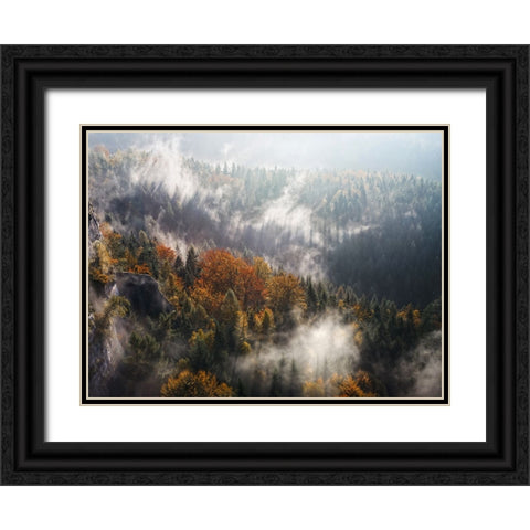 Trees 64 Black Ornate Wood Framed Art Print with Double Matting by Lee, Rachel