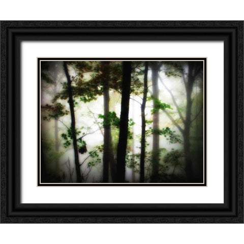 Trees 66 Black Ornate Wood Framed Art Print with Double Matting by Lee, Rachel