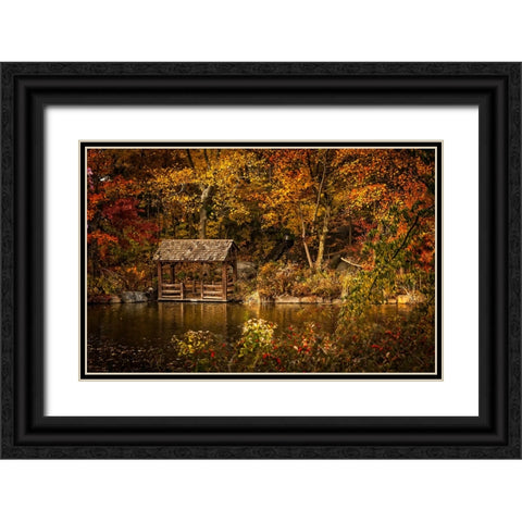 Trees And Water 2 Black Ornate Wood Framed Art Print with Double Matting by Lee, Rachel