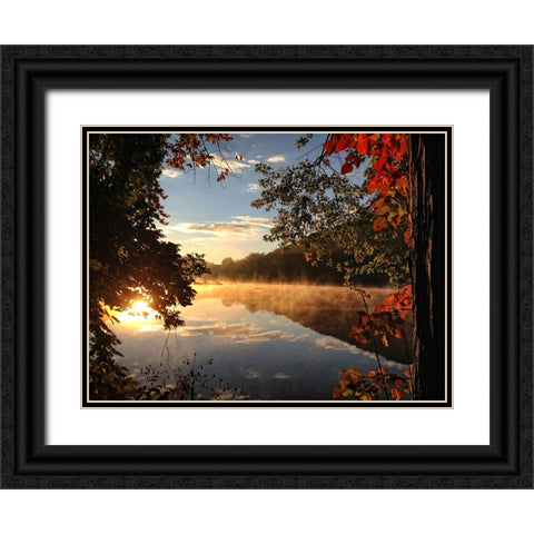 Trees and Water 4 Black Ornate Wood Framed Art Print with Double Matting by Lee, Rachel