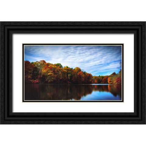 Trees and Water 5 Black Ornate Wood Framed Art Print with Double Matting by Lee, Rachel