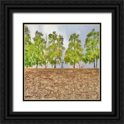 Vine Wall And Trees Black Ornate Wood Framed Art Print with Double Matting by Lee, Rachel