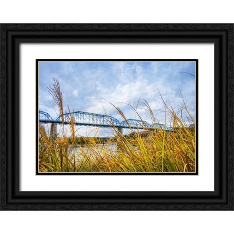 Walnut Grass Black Ornate Wood Framed Art Print with Double Matting by Lee, Rachel