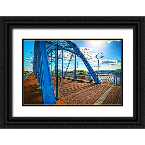 Walnut Side View Black Ornate Wood Framed Art Print with Double Matting by Lee, Rachel