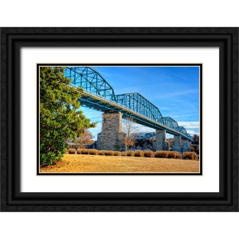 Walnut Warm Black Ornate Wood Framed Art Print with Double Matting by Lee, Rachel