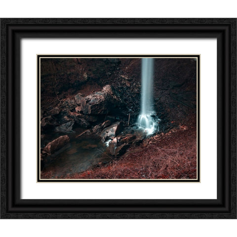 Waterfall 51 Black Ornate Wood Framed Art Print with Double Matting by Lee, Rachel