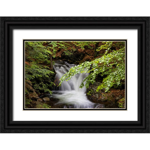 Waterfall 6 Black Ornate Wood Framed Art Print with Double Matting by Lee, Rachel