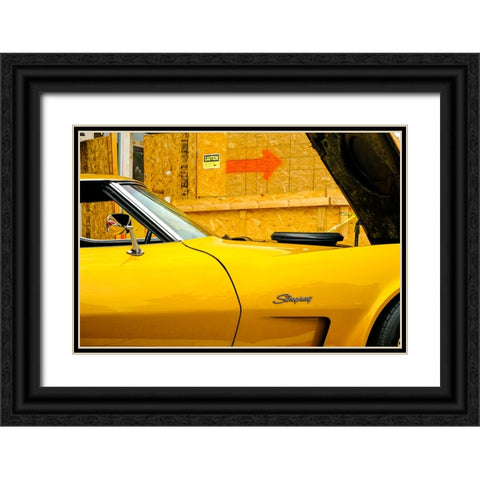 Stingray Black Ornate Wood Framed Art Print with Double Matting by Malone, Will