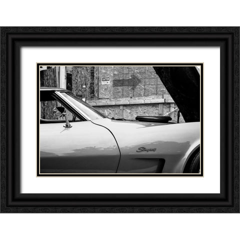 Stingray BW Black Ornate Wood Framed Art Print with Double Matting by Malone, Will