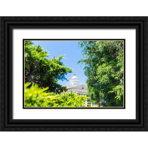 Henderson County Courthouse 2 Black Ornate Wood Framed Art Print with Double Matting by Malone, Will