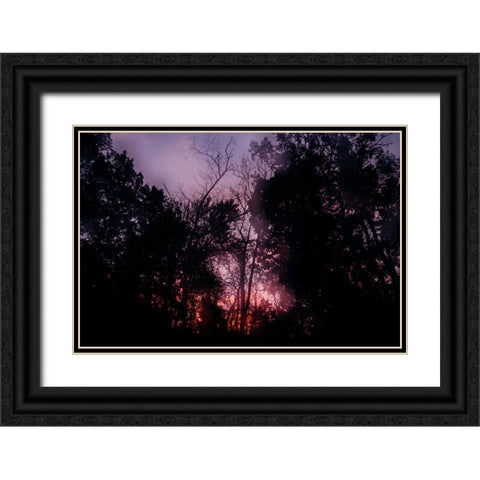 Sunset 2 Black Ornate Wood Framed Art Print with Double Matting by Malone, Will