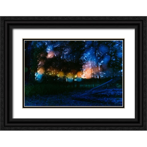 Sunset 4 Black Ornate Wood Framed Art Print with Double Matting by Malone, Will