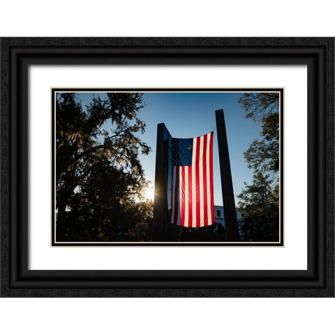 America 2 Black Ornate Wood Framed Art Print with Double Matting by Malone, Will