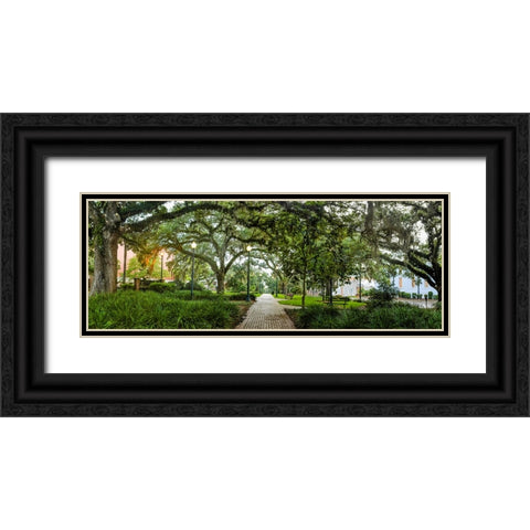 Chain of Parks Rain 2 Black Ornate Wood Framed Art Print with Double Matting by Malone, Will