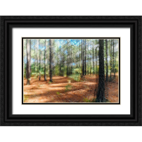 Blurry Forest 2 Black Ornate Wood Framed Art Print with Double Matting by Malone, Will