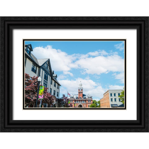 Elbert County Courthouse Black Ornate Wood Framed Art Print with Double Matting by Malone, Will