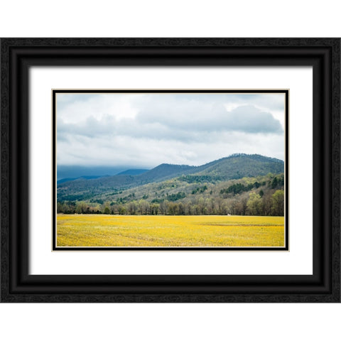 Yellow Fields Black Ornate Wood Framed Art Print with Double Matting by Malone, Will