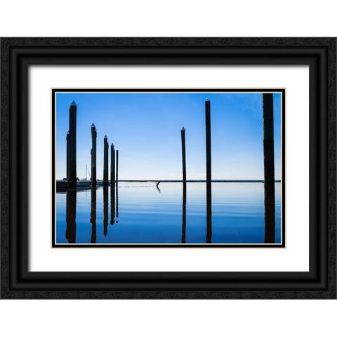 Take Flight Black Ornate Wood Framed Art Print with Double Matting by Malone, Will