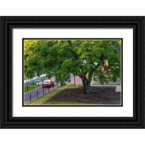 Camaro Through The Park Black Ornate Wood Framed Art Print with Double Matting by Malone, Will