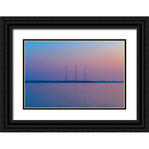 Antennae Black Ornate Wood Framed Art Print with Double Matting by Malone, Will