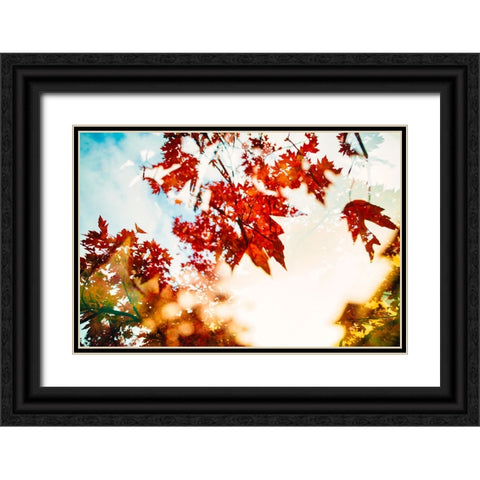 Autumn Leaves Black Ornate Wood Framed Art Print with Double Matting by Malone, Will