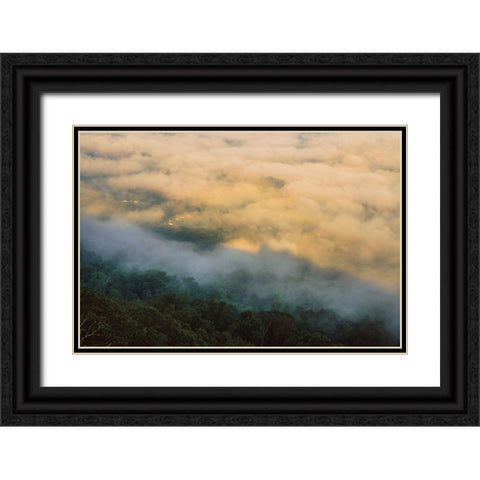 Golden Morning 4 Black Ornate Wood Framed Art Print with Double Matting by Malone, Will