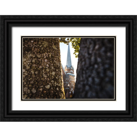 Through the Trees Black Ornate Wood Framed Art Print with Double Matting by Malone, Will