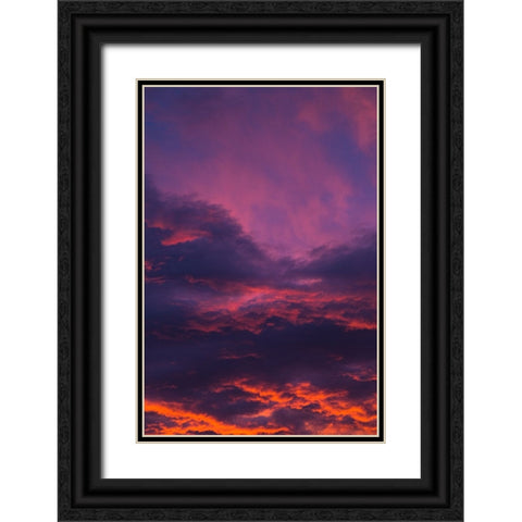 Beaufort Sky Black Ornate Wood Framed Art Print with Double Matting by Malone, Will