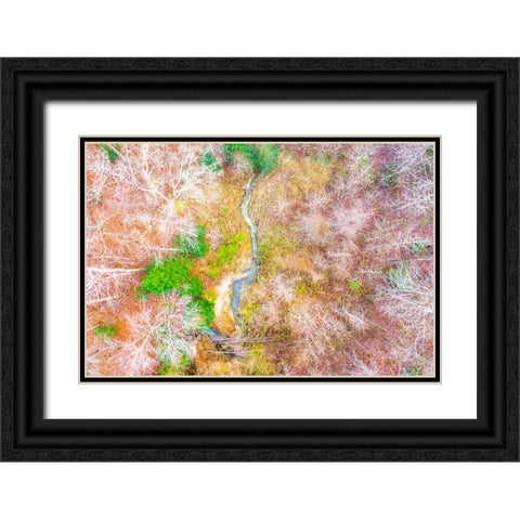 Aerial Creek Black Ornate Wood Framed Art Print with Double Matting by Malone, Will
