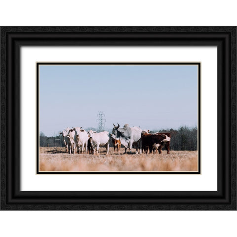 Drawing a Crowd 2 Re-edit Black Ornate Wood Framed Art Print with Double Matting by Malone, Will