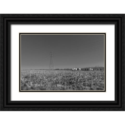Here They Come Black Ornate Wood Framed Art Print with Double Matting by Malone, Will