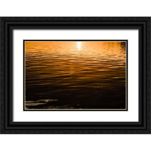 Golden 3 Black Ornate Wood Framed Art Print with Double Matting by Malone, Will