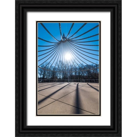 Cancer Survivor Park Black Ornate Wood Framed Art Print with Double Matting by Malone, Will