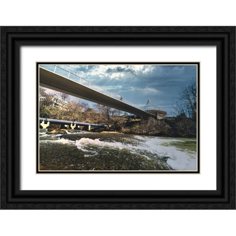 Cancer Survivor Park 3 Black Ornate Wood Framed Art Print with Double Matting by Malone, Will