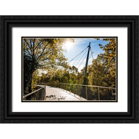 Suspension 2 Black Ornate Wood Framed Art Print with Double Matting by Malone, Will