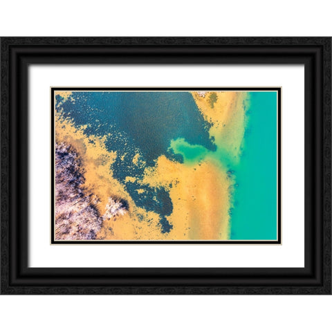 Savannah Black Ornate Wood Framed Art Print with Double Matting by Malone, Will