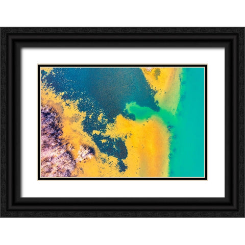 Savannah 2 Black Ornate Wood Framed Art Print with Double Matting by Malone, Will