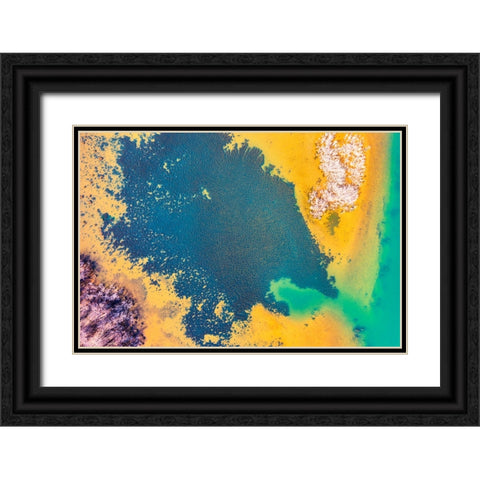 Savannah 3 Black Ornate Wood Framed Art Print with Double Matting by Malone, Will