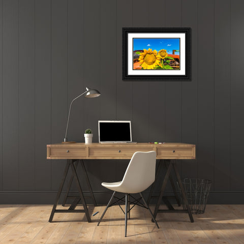 Denver Downs Sunflowers 3 Black Ornate Wood Framed Art Print with Double Matting by Malone, Will