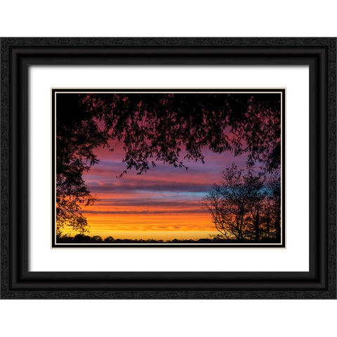 Backyard Sun Black Ornate Wood Framed Art Print with Double Matting by Malone, Will