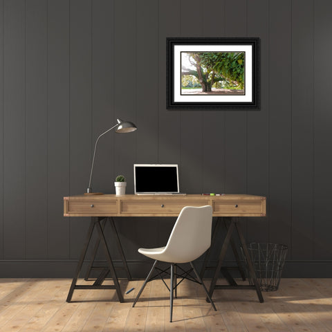 Big Oak 2 Black Ornate Wood Framed Art Print with Double Matting by Malone, Will