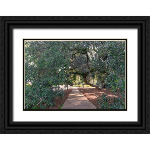 Big Oak 3 Black Ornate Wood Framed Art Print with Double Matting by Malone, Will