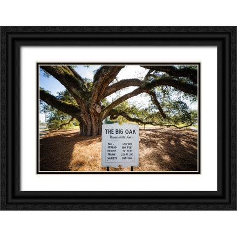 Big Oak 6 Black Ornate Wood Framed Art Print with Double Matting by Malone, Will
