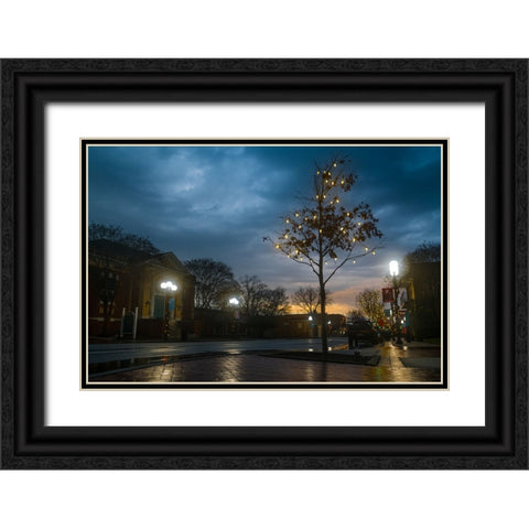 Charlie Brown Tree Black Ornate Wood Framed Art Print with Double Matting by Malone, Will