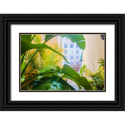 Thomasville Jungle Black Ornate Wood Framed Art Print with Double Matting by Malone, Will